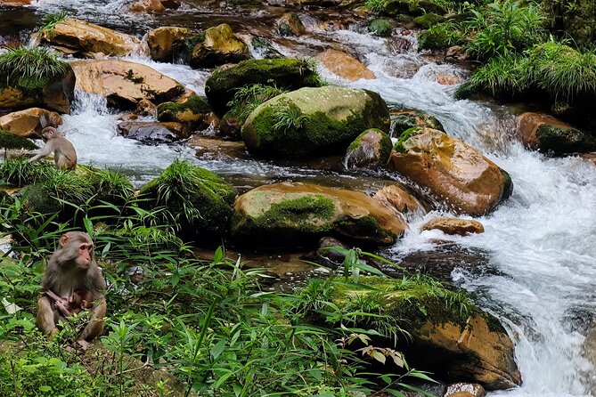 2-Day Best Of Zhangjiajie-Avatar World & Tianmen Mountain Tour - Exploring Zhangjiajie: A Treasure Trove of Natural Wonders