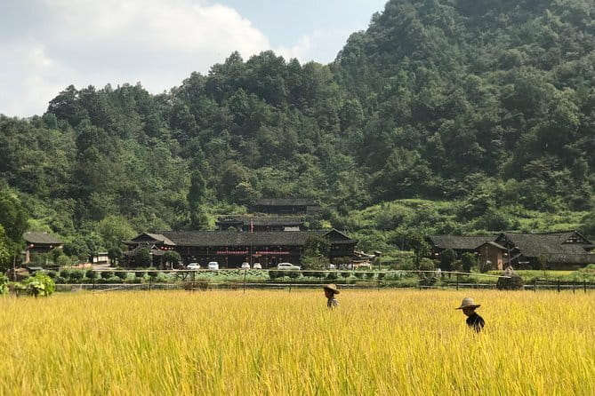 5-Day Private Zhangjiajie Ultimate Experience Tour - Final Thoughts