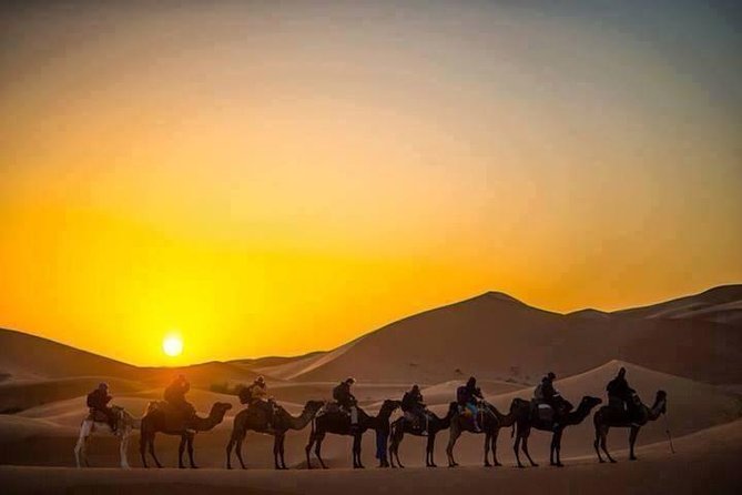 Half Day City Tour of Jaisalmer visit Sunset by Camel Ride with Dinner - Practical Details and What It Means for Travelers
