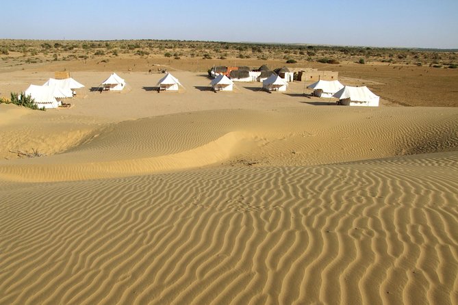 A Night in Thar Desert Unforgettable Luxury Camel Safari - Key Points