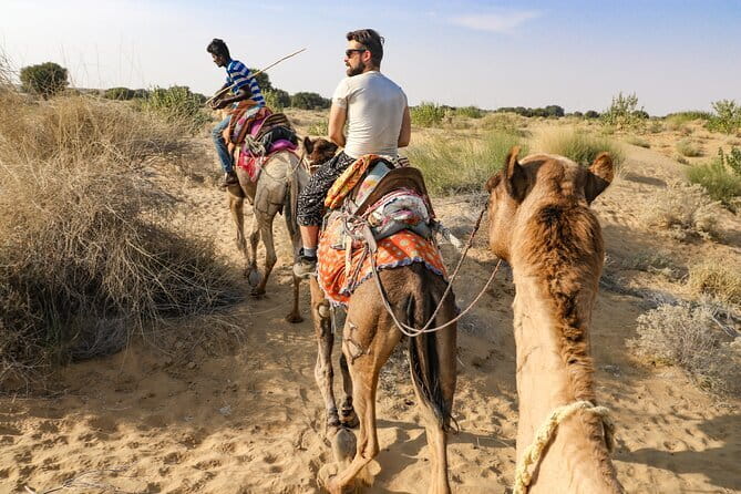 1-Night and 2-Days Thar Desert Safari Tour - Why Travelers Love This Safari