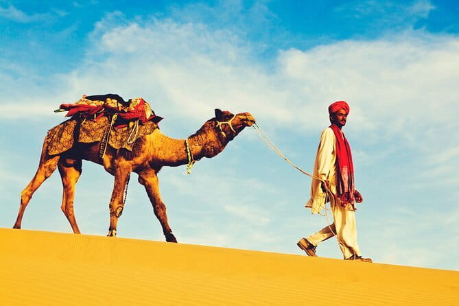 1-Night and 2-Days Thar Desert Safari Tour - What to Expect from the Thar Desert Safari