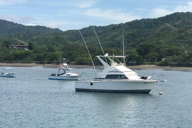 Full Day Sport Fishing Tour from Flamingo Beach - A Closer Look at the Experience