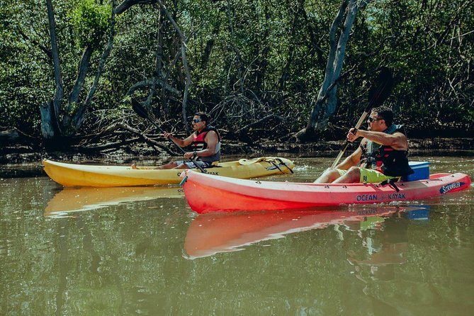 Tamarindo Kayak Estuary Mangrove Tour - Key Points