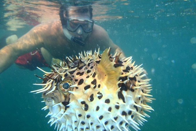 Tamarindo Kayaking Tour with Snorkeling at Captain Island - Final Thoughts