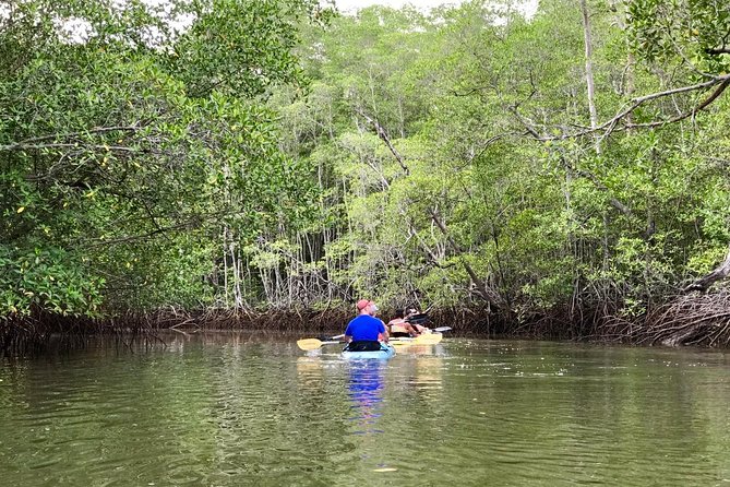 Kayak to the Heart of the National Park - Key Points