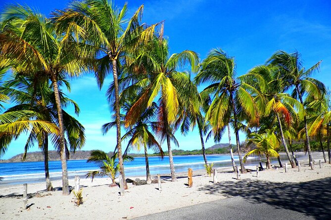 Private Transfer From Tamarindo To San Jose Airport - The Sum Up