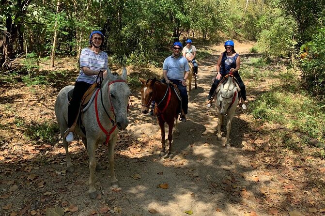 Amazing Horseback Riding in the tropical forest - In-Depth Review of the Horseback Tour Experience