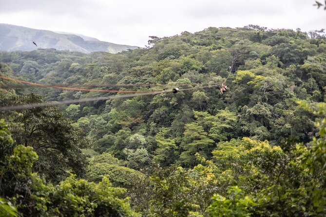 Full Day Adventure Tour - An In-Depth Look at the Full Day Adventure Tour