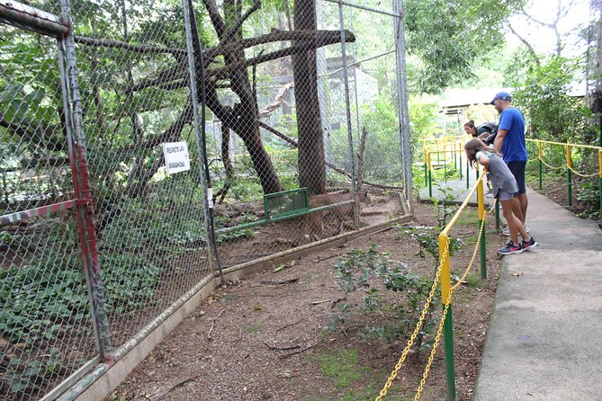 Sloth tour and Wildlife Encounter - Why This Tour Offers Great Value