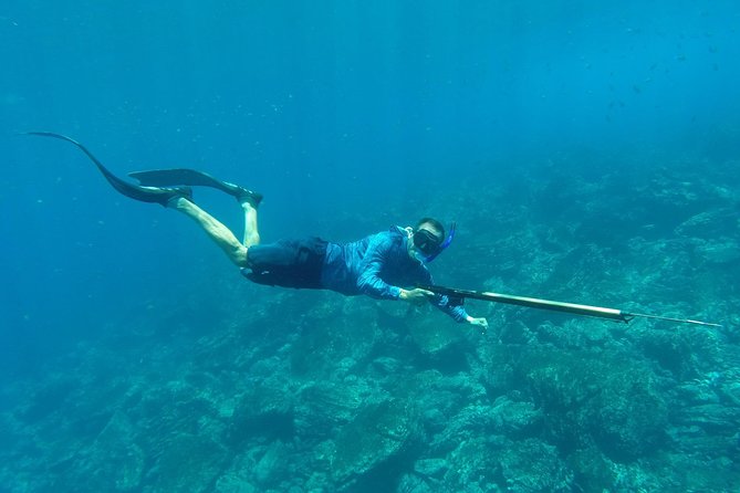Discover Spearfishing course - Discover Spearfishing Course in Tamarindo—A Perfect Blend of Adventure and Learning