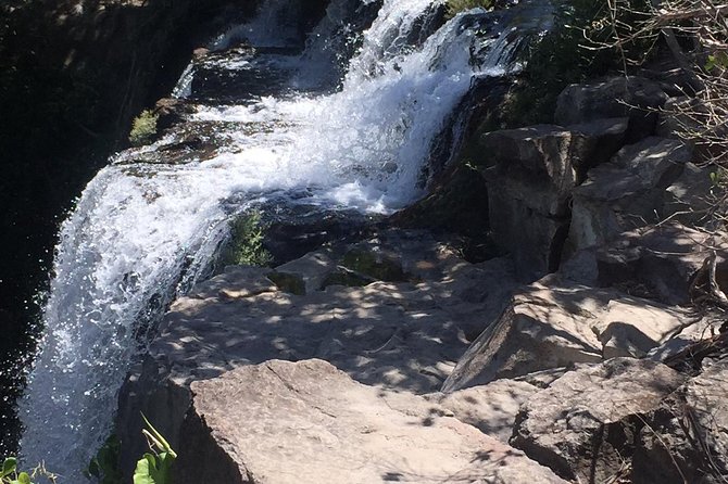 Pumas Rescue Center & Llanos Del Cortes Waterfall Swimming - Frequently Asked Questions