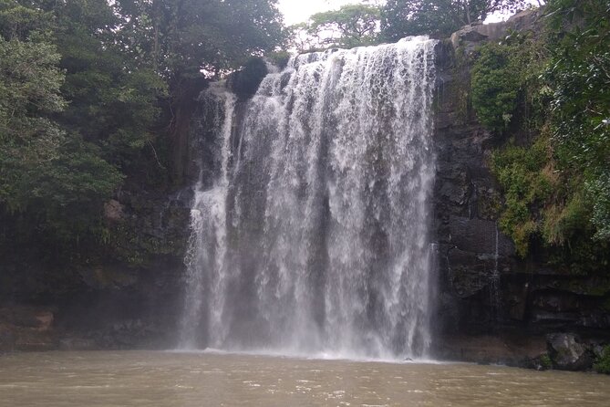 Pumas Rescue Center & Llanos Del Cortes Waterfall Swimming - Who Will Love This Tour?
