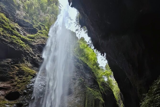 Chongqing One-Day Trip with Wulong 3 Essentials - FAQs