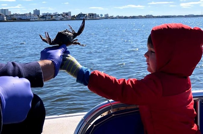 OC Bay Hopper Crabbing - Keeping Your Crabs and the Culinary Touch