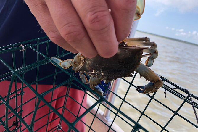 OC Bay Hopper Crabbing - Good To Know