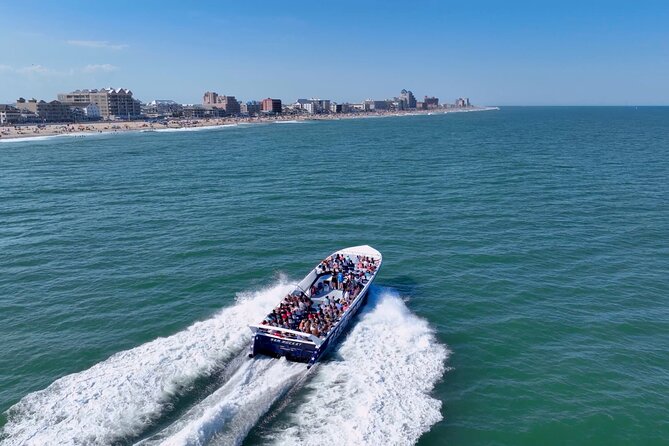 45-Minute Sea Rocket Speed Boat & Dolphin Cruise in Ocean City MD - Authentic Traveler Feedback: What You Should Know