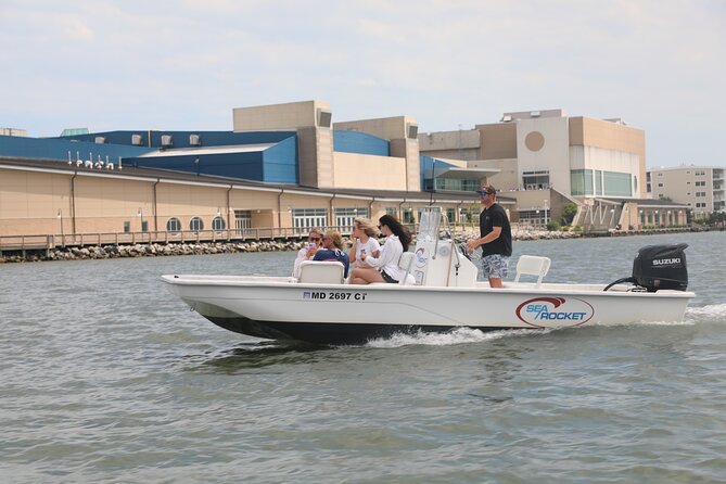 1-Hour Private Party Assateague Island Pony Cruise in Ocean City - Good To Know