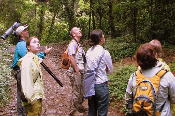 Monteverde Cloud Forest Reserve Guided Walk - FAQ – Practical Questions About the Monteverde Cloud Forest Guided Walk