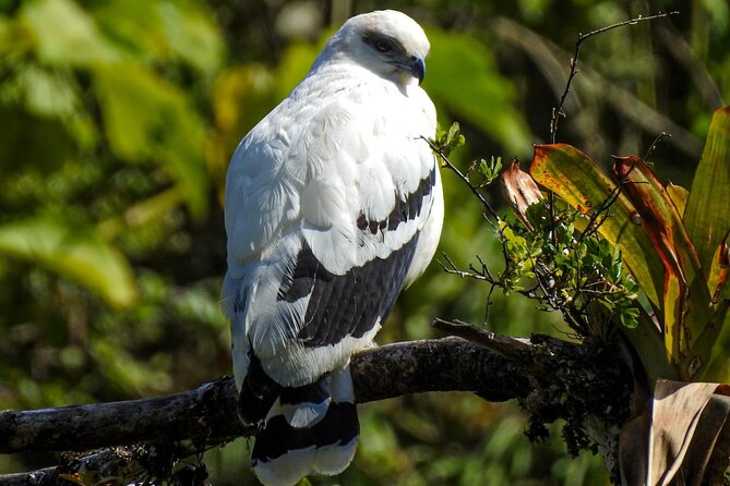 El Tigre Waterfalls Hiking Tour with Lunch and Nature Guide - The Guide & Authenticity