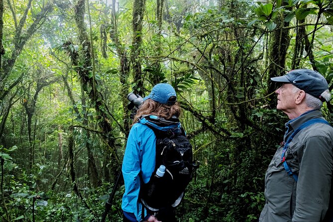 Private Guided Walk to the Santa Elena Cloud Forest Reserve - What’s the Value in This Private Tour?
