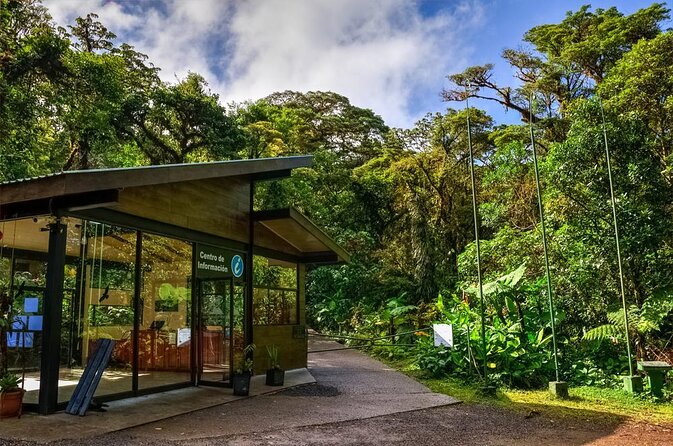 Private Guided Walk to the Santa Elena Cloud Forest Reserve - Exploring the Santa Elena Cloud Forest Reserve: A Closer Look