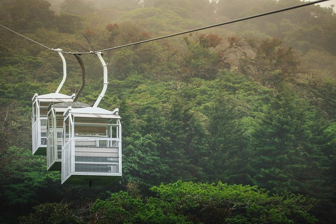 Sky Tram & Sky Trek From Monteverde - The Tour in Detail: What to Expect