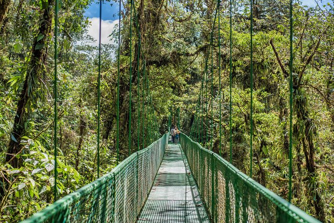Hanging Bridges & Tour Guide From Monteverde - Key Points