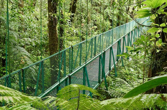 Selvatura Park Hanging Bridge Tour in Monteverde - Frequently Asked Questions