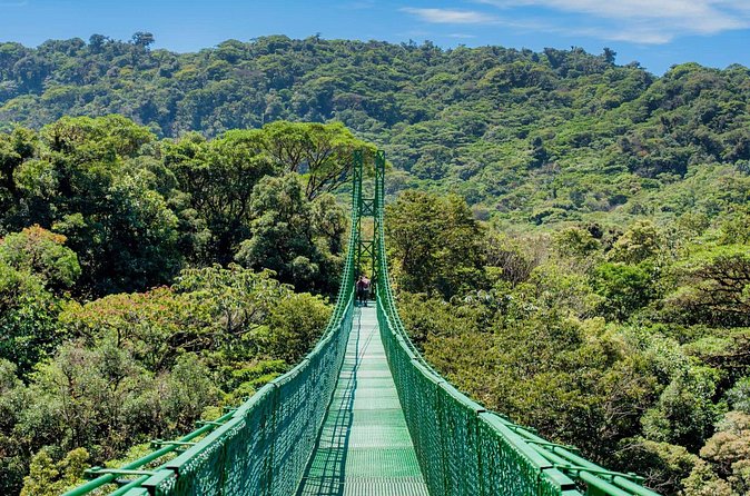 Selvatura Park Hanging Bridge Tour in Monteverde - Final Thoughts