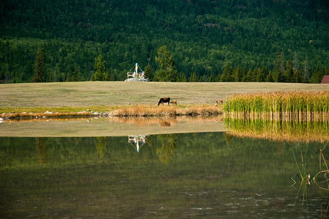 Urumqi Private Arrival Transfer: Railway Station to Hotel - The Sum Up