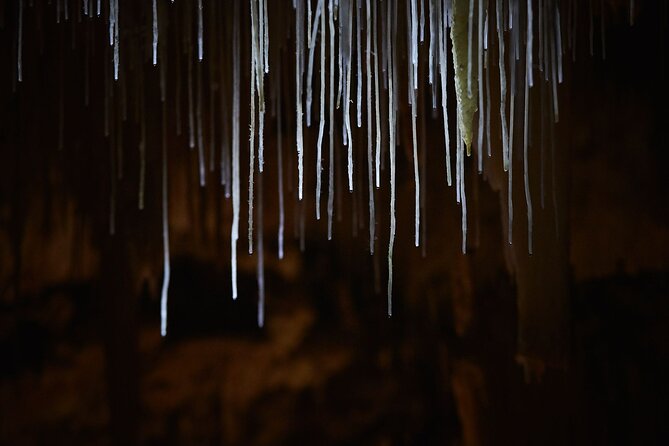 Lake Cave Fully Guided Tour - Key Points