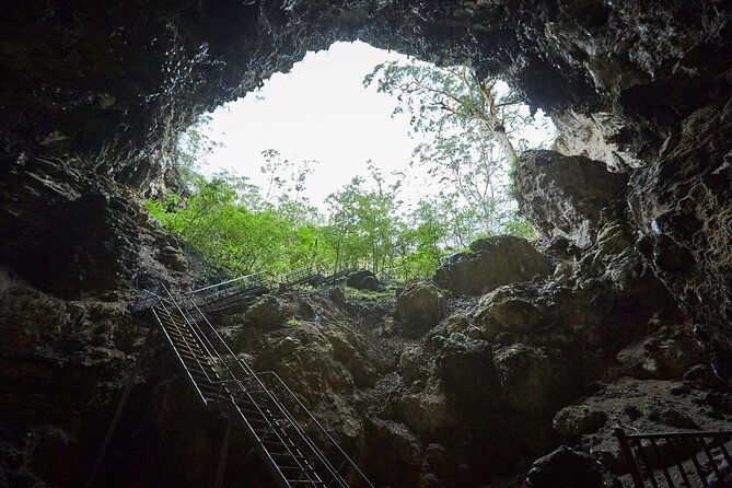 Lake Cave Fully Guided Tour - Discover the Wonders of Lake Cave: A Fully Guided Tour in Margaret River