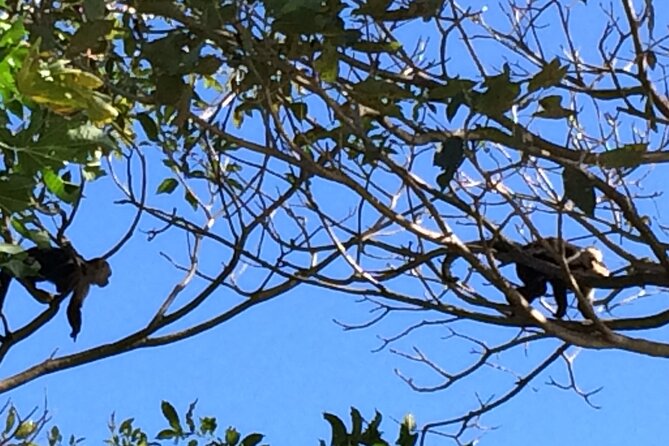 E-MTB Las Pilas Waterfall Tour - Key Points