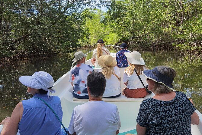 Local Sightseeing & Mangrove Tour - Summary