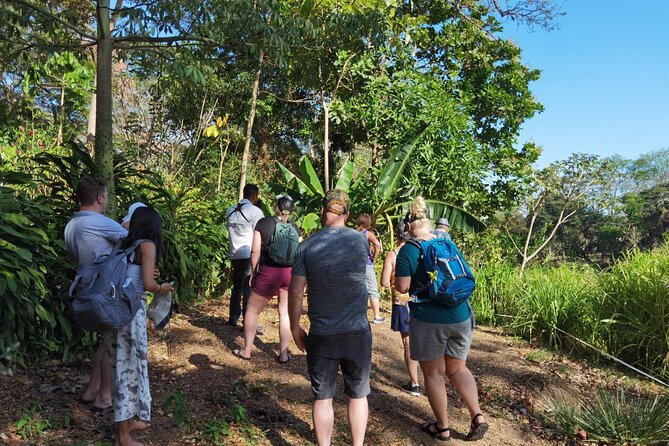 Local Sightseeing & Mangrove Tour - FAQs