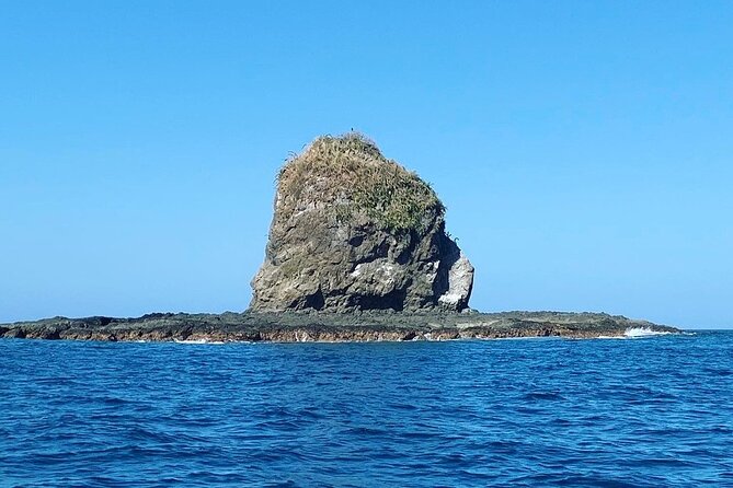 Magic of the rainforest - Exploring Costa Rica Your Way: The "Magic of the Rainforest" Tour