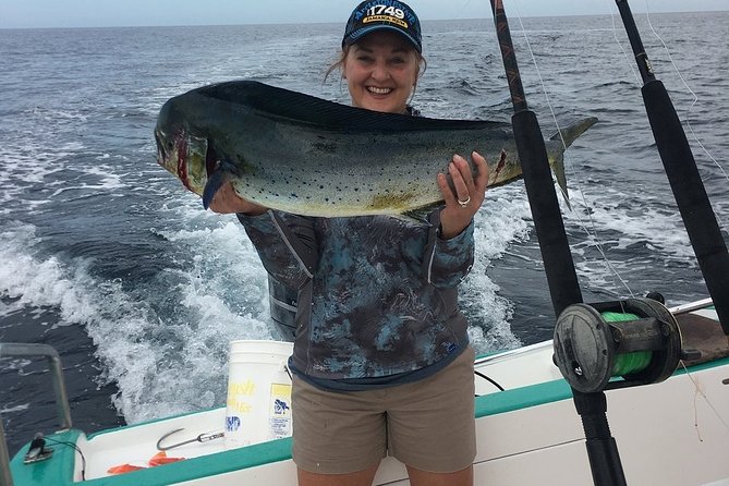 Magic of the rainforest - FAQ