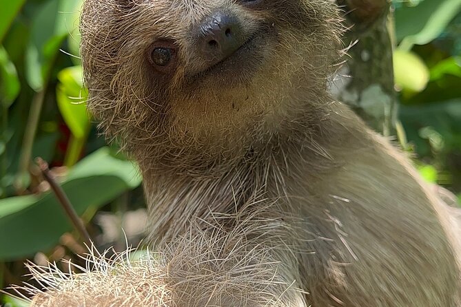 Magic of the rainforest - Authentic Experiences and Guide Expertise