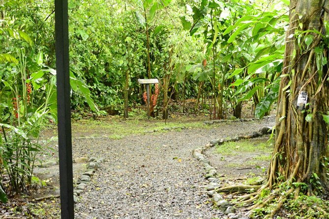 Class II-III Rafting and Chocolate Tour from La Fortuna - Who Will Love This Tour?