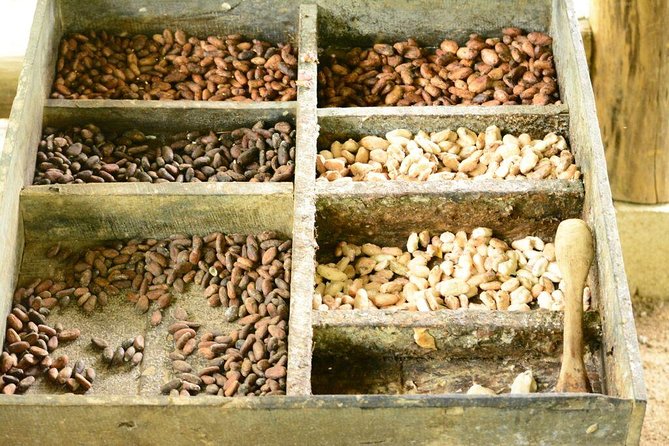 Class II-III Rafting and Chocolate Tour from La Fortuna - An In-Depth Look at the Tour