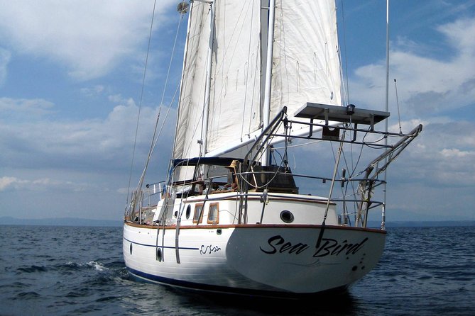 Snorkeling and Cruises - Discover the Joy of Snorkeling and Sailing in Playa Hermosa