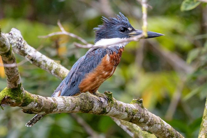Costa Rican Wildlife: Palo Verde National Park Private Tour - Key Points