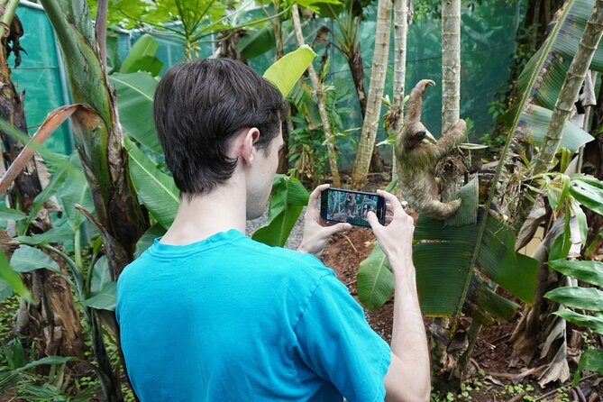 Private Tour Rio Celeste, Waterfalls, Rainforest, Sloth Encounter - Final Thoughts: Is This the Right Tour for You?