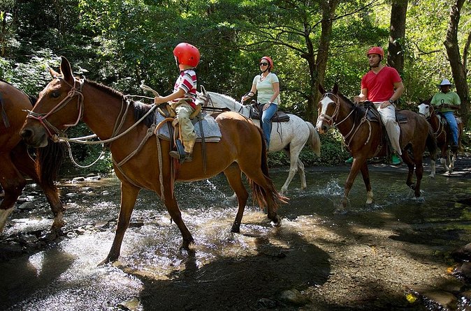 Buena Vista Combo Tour: Ziplining and Hot Springs from Guanacaste - Who Will Love This Experience?