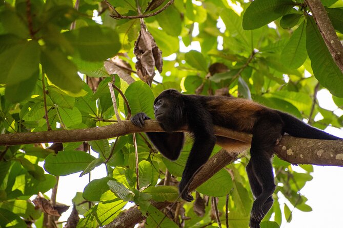 4-Hour Private Guided ATV Tour in Costa Rica - What to Keep in Mind