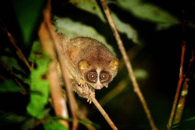 Rainforest Camping in Kudremukh National Park - FAQ