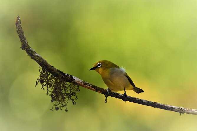 Rainforest Camping in Kudremukh National Park - The Sum Up