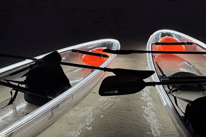 Private Bioluminescence Tour by clear Kayak in Holbox - Key Points