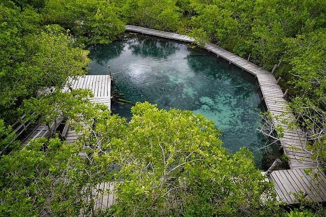 Private boat tour (3 islands tour) - Final Thoughts: Is This Tour for You?